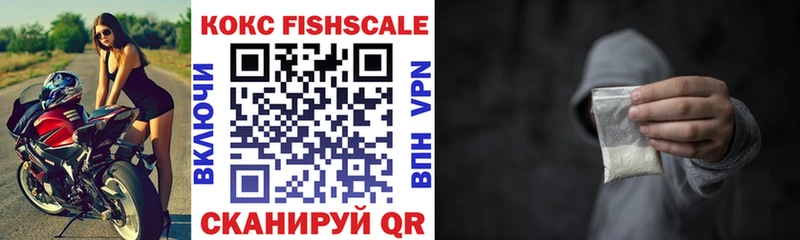 купить наркоту  Каргополь  COCAIN Fish Scale 