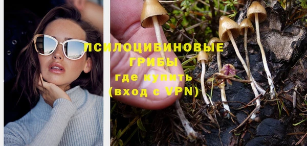 мяу мяу мука Снежинск