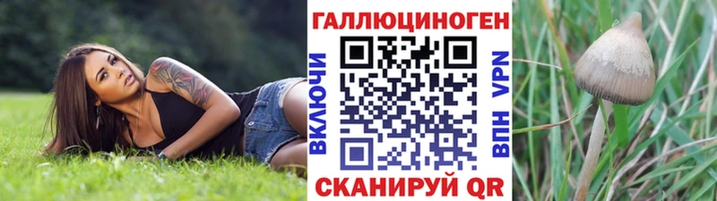 Псилоцибиновые грибы Psilocybine cubensis Каргополь